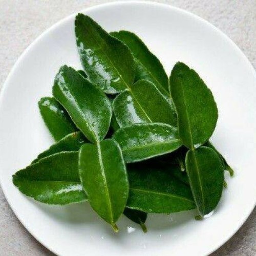 

Seed Entrepreneur Daun Jeruk Pecel Purut Herbal Segar - 25 Lembar