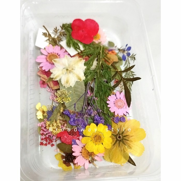 Press Flower Dried Bunga Kering Hiasan Resin Lilin Topper Dummy Cake