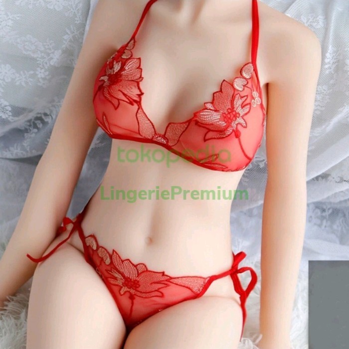 bikini transparan set cd bra