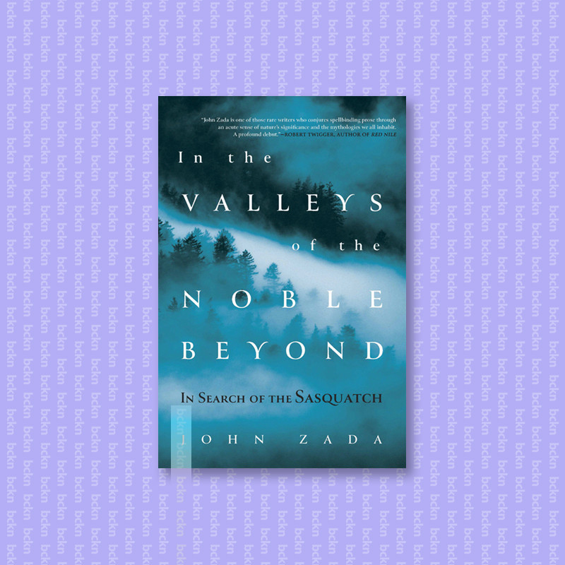 

In the Valleys of the Noble Beyond - In Sea - John Zada