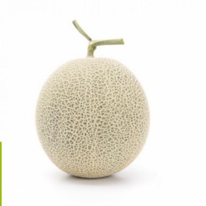 Benih Melon Rz Japanese Musk Melon - 25 Seeds Kemasan Repacking