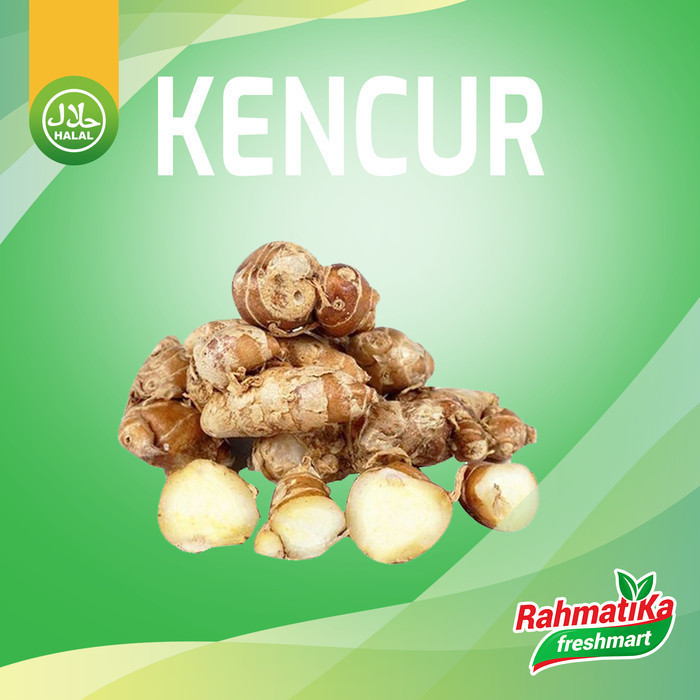 

Kencur Segar / Kencur Fresh 1 Kg