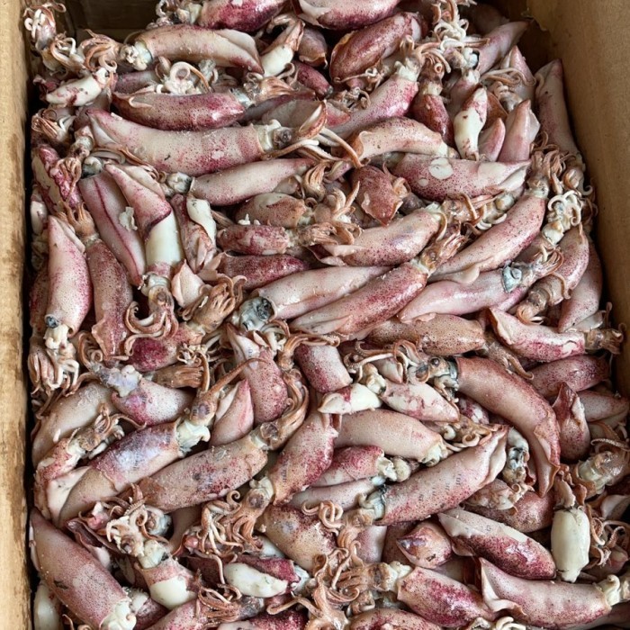 

Ayala - Cumi Asin 500Gram