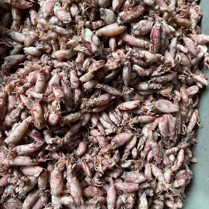 

Ayala - Baby Cumi / Cumi Asin 500Gram