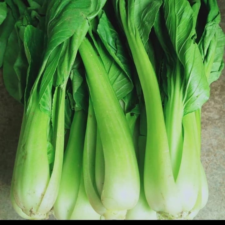 

sayur pakcoy dijamin segar per 500gram