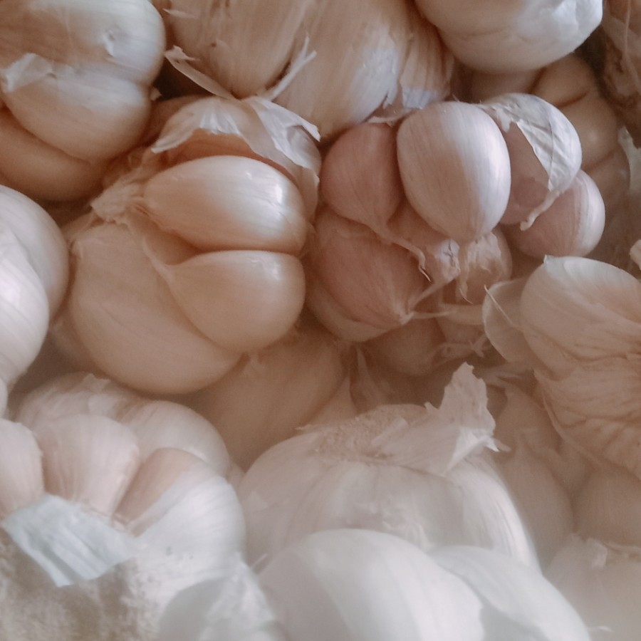 

bawang putih per 1ons