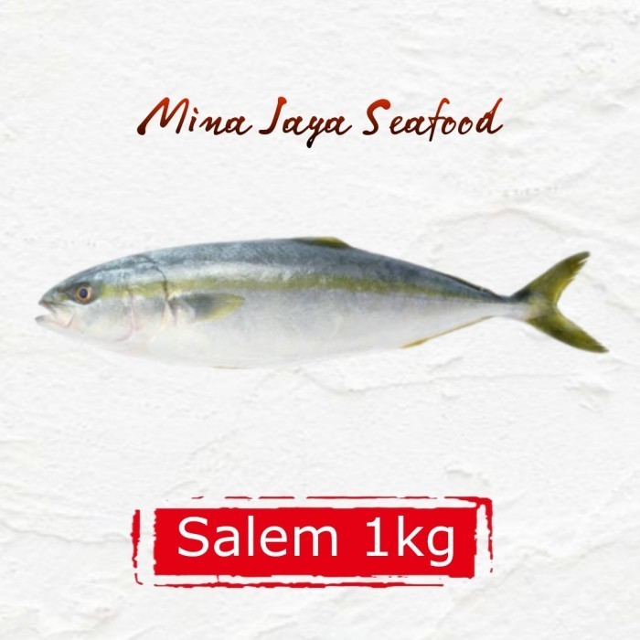 

Ayala - Ikan Salem Segar / Fresh / Seafood/ Ikan Segar Laut