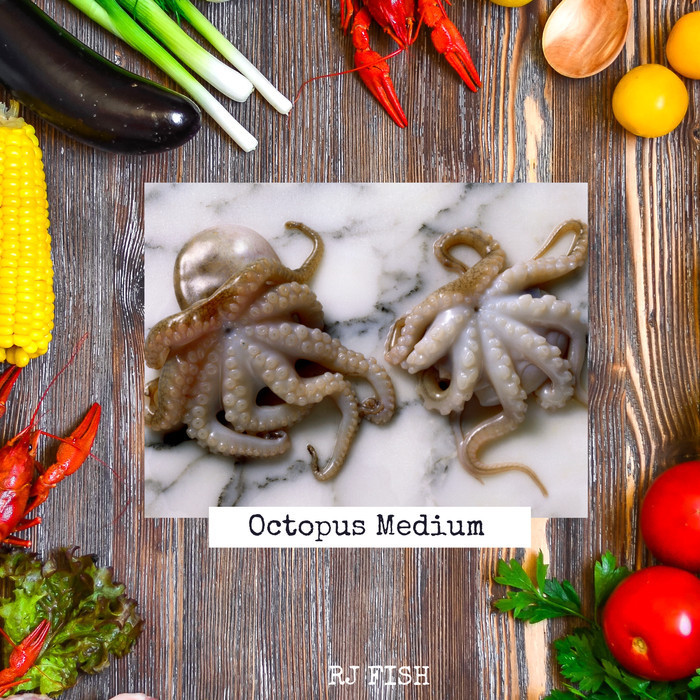 

Ayala - Gurita Octopus Medium Segar Utuh Fresh Frozen Seafood Rj Fish