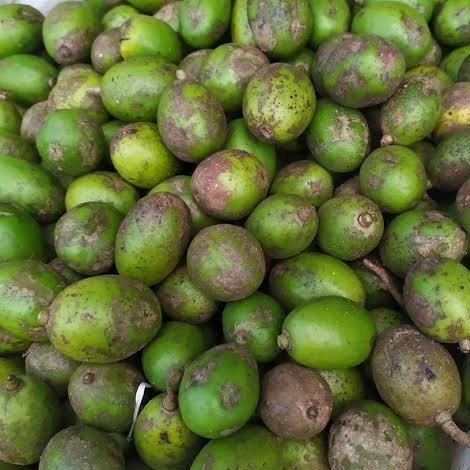 

Kedondong 1 Kg