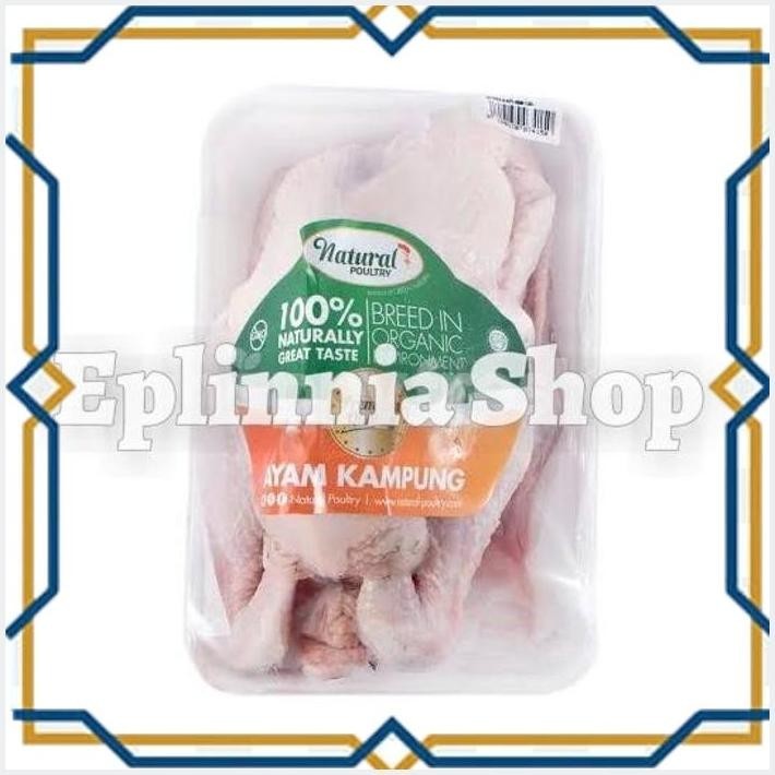 

[EPL] CHICKEN NATURAL POULTRY AYAM KAMPUNG PREBIOTIK ORGANIK