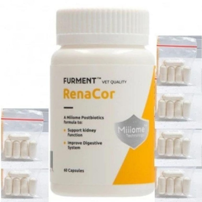 Renacor Anjing Dan Kucing Obat Ginjal Eceran 30 Capsul - #Flashsale #Gratisongkir