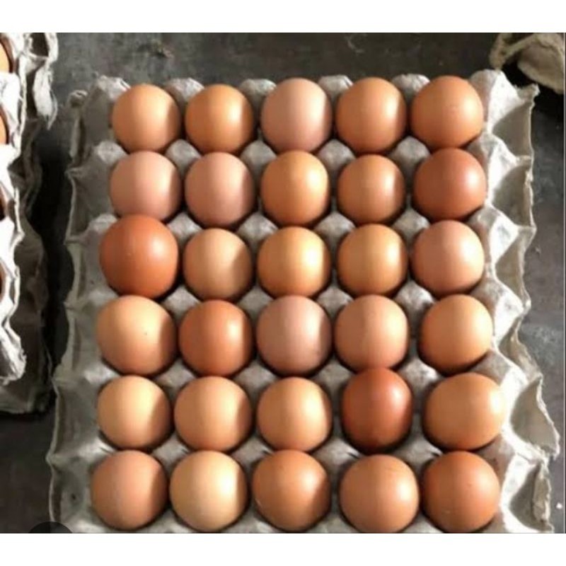 

telur ras per rak / pampang online