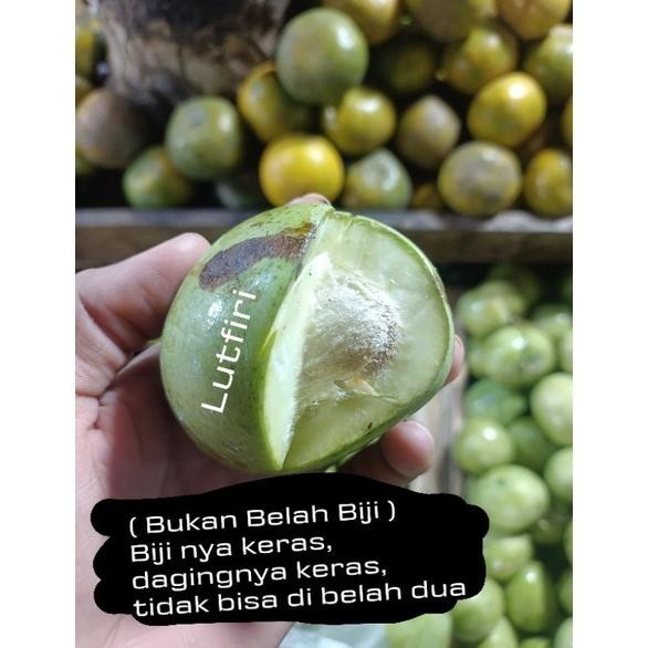 

Mangga Telor Atau Telur Muda Mentah 1 Kg Belah Biji Asem Segar Fresh Rujak Manisan Asinan