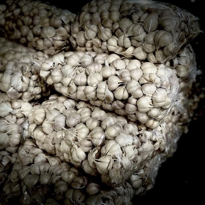 

Bawang Kating Bersih 5 Kg Per Bal