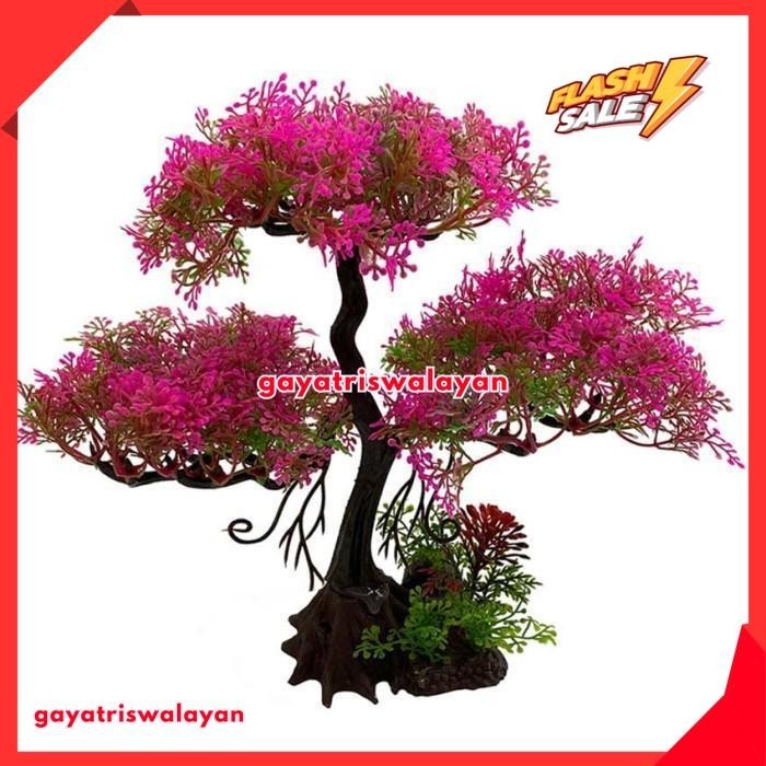 

BONSAI MINI AQUASCAPE / AQUARIUM HIJAU UNGU TERMURAH