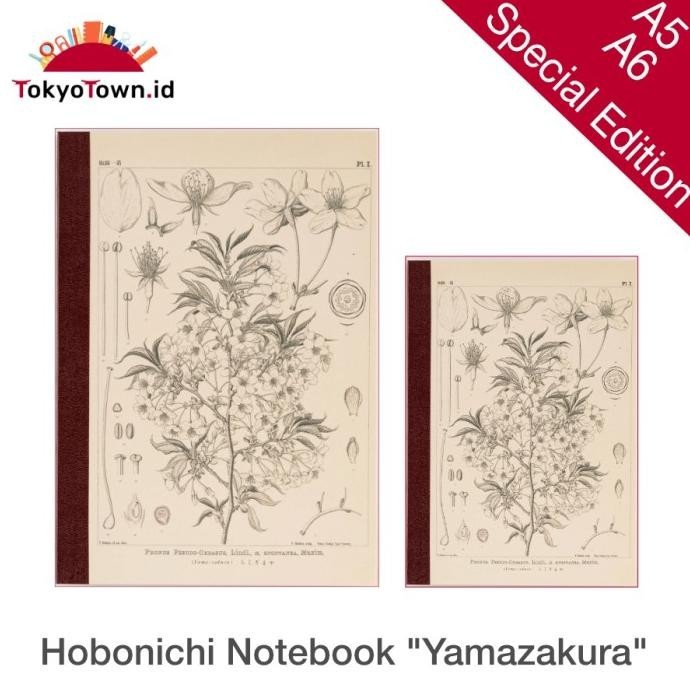 

Hobonichi Plain Notebook Yamazakura Tomoe River