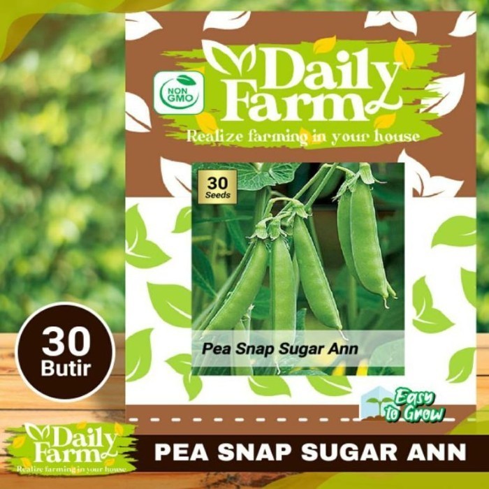 

Benih Sayur Kacang Kapri Manis - Pea Snap Sugar Ann - Daily Farm