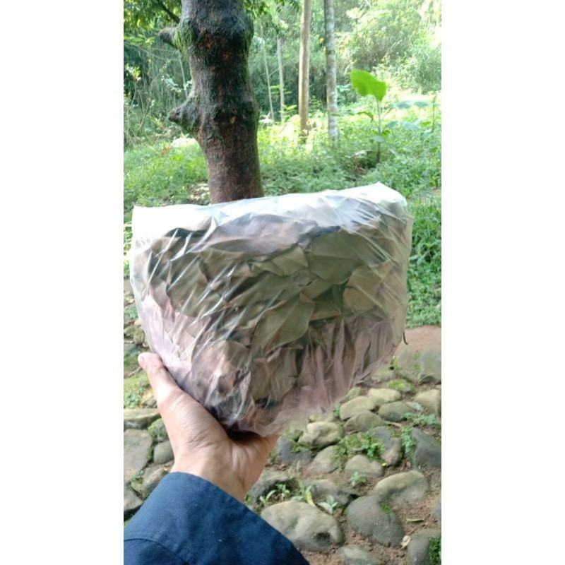 

daun cengkeh kering ukuran 1/4kg kering bagus