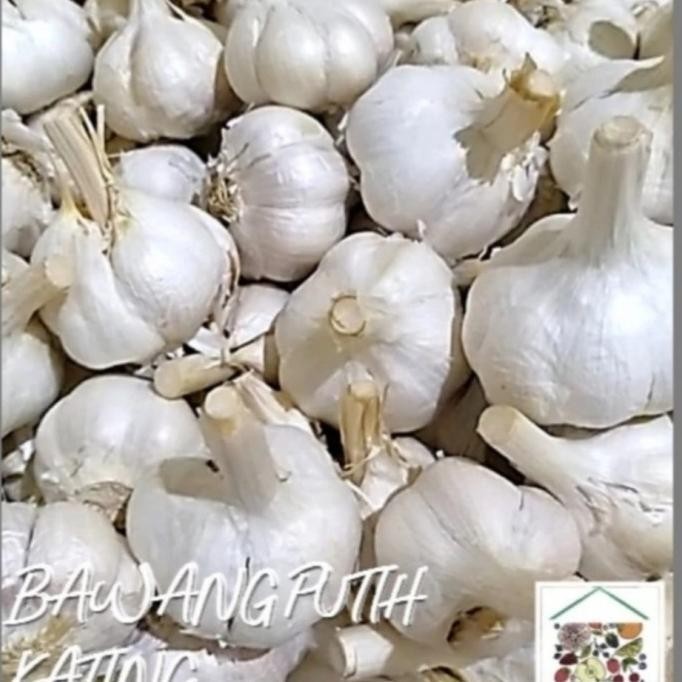 

BAWANG PUTIH KATING 1KG