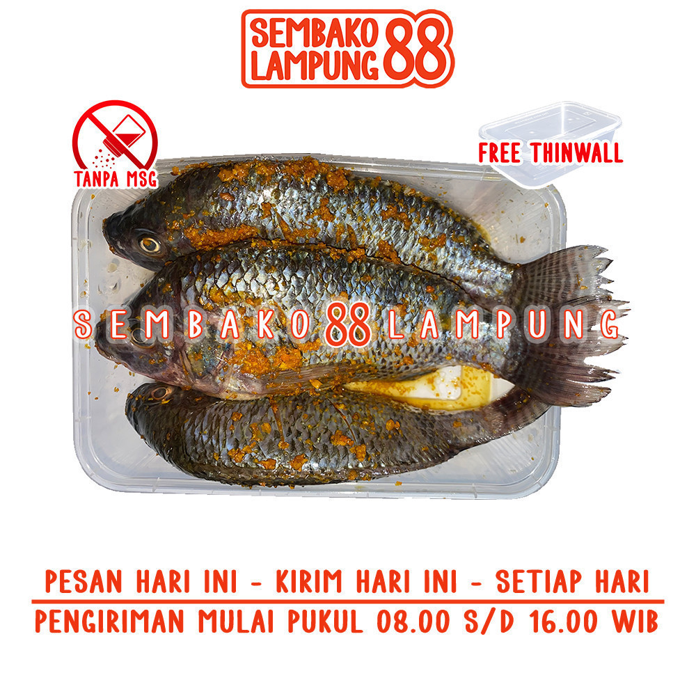 

Ikan Nila Bumbu Kuning 500 Gr | Sembako Lampung 88