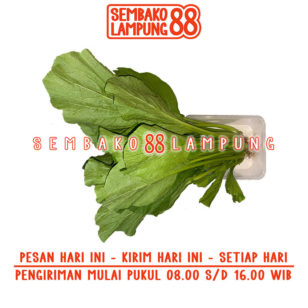 

Sawi Hijau 1 Ikat | Sembako Lampung 88