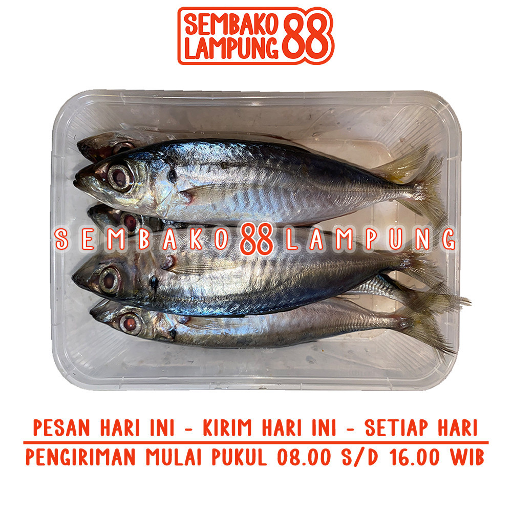 

Ikan Layang Segar 250 Gr | Sembako Lampung 88