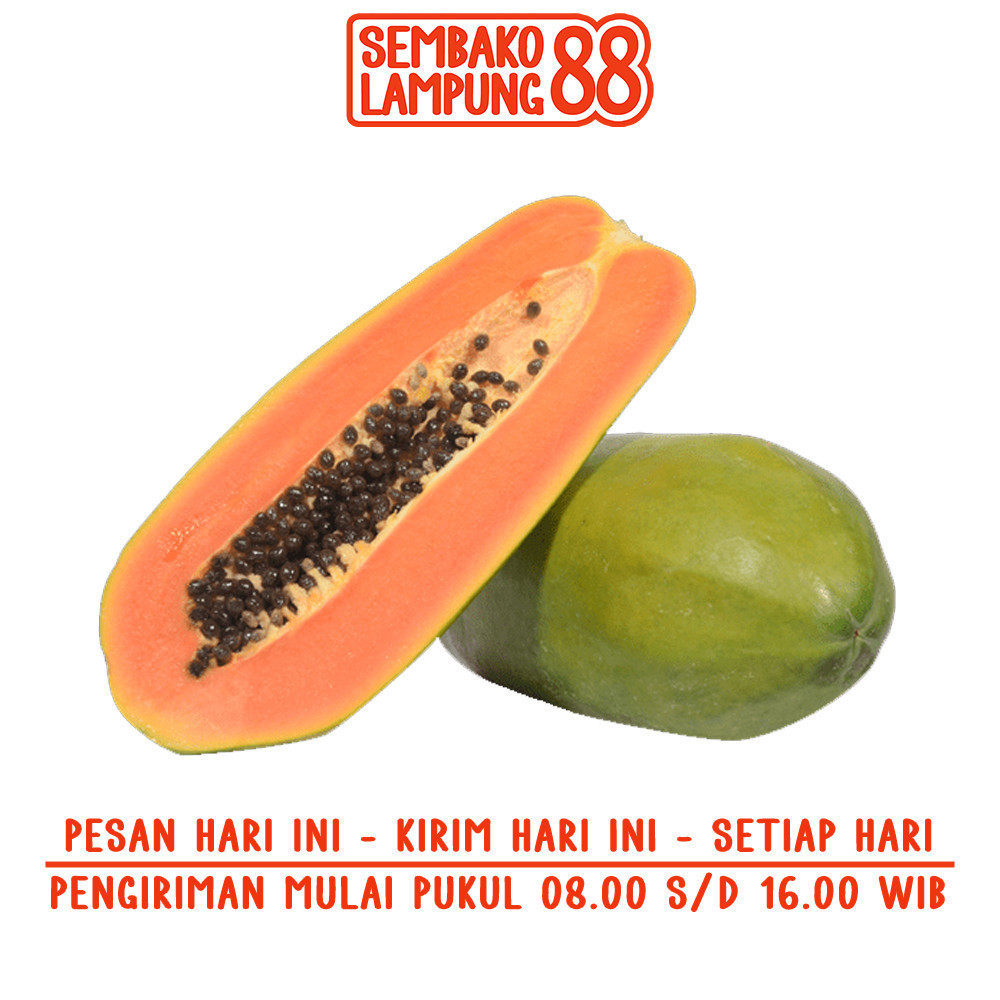 

Pepaya California 1 Buah | Sembako Lampung 88