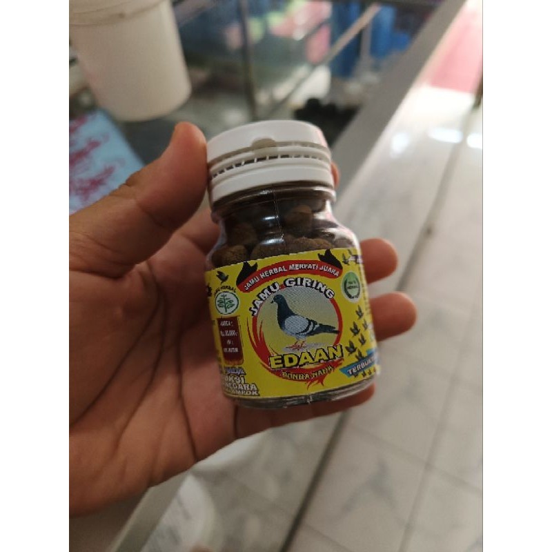 jamu giring edan, jamu keket merpati, obat giring merpati