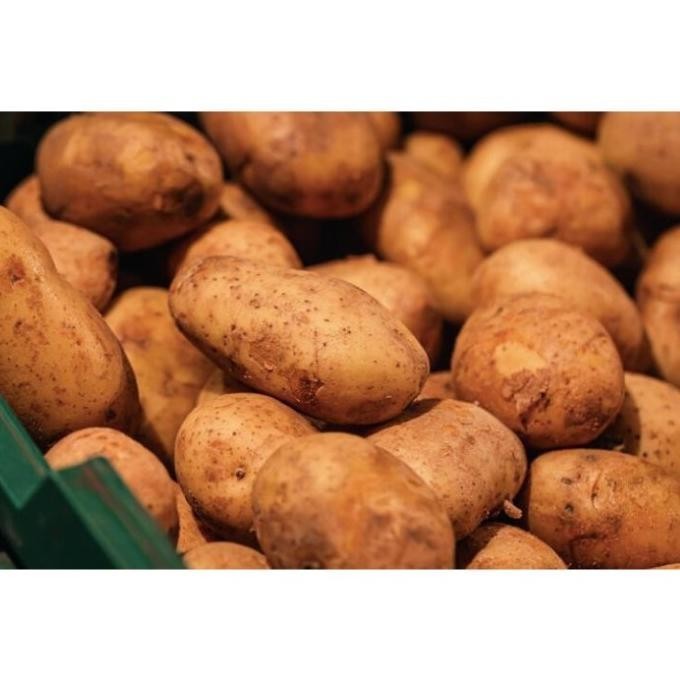 

PROMO Kentang Dieng Super Medium 25 Kg Fresh Dari Petani - Shuffel BERKUALITAS