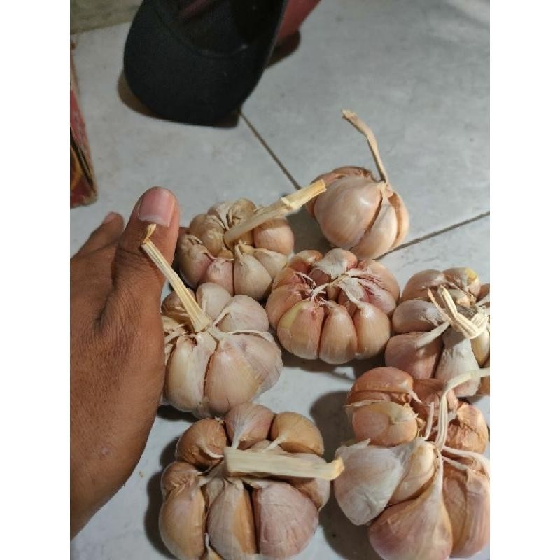 

Bawang Putih Sinco 1Kg Promo Murah Berkwalitas Service