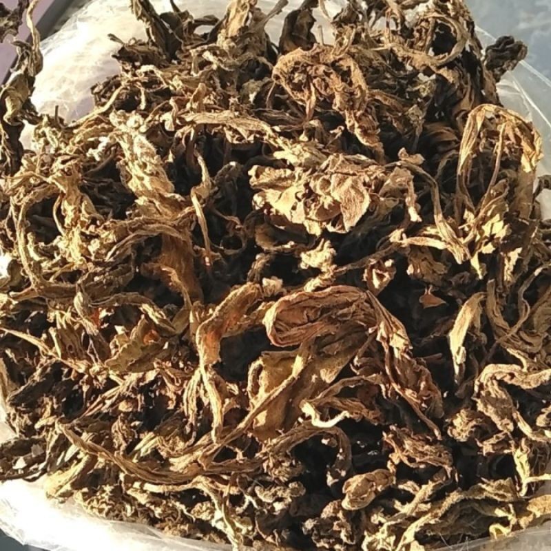 

Daun DeWA kering 1kg / Daun Dewa Kering Organik / Daun samsit