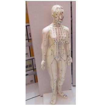 Patung Akupuntur Model WANITA / Boneka Titik Titik Akupuntur