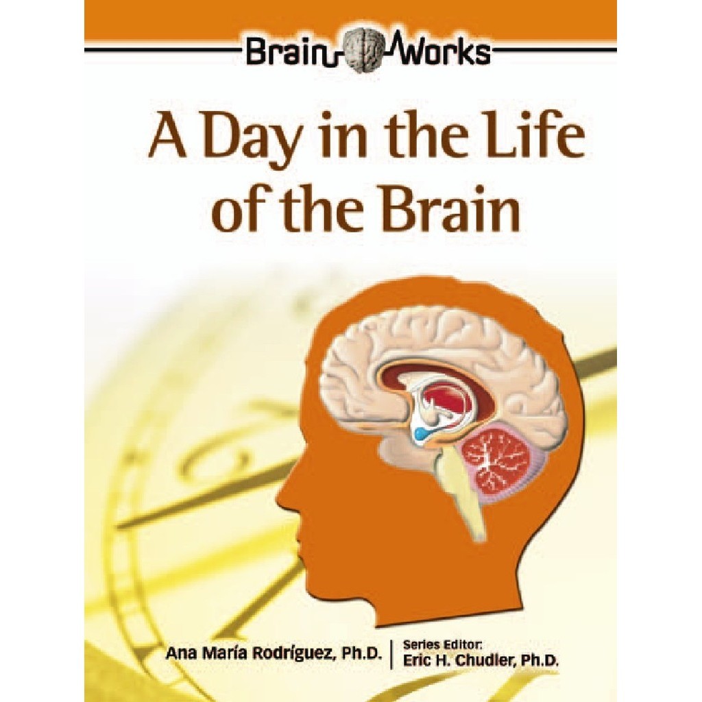 

Brain Works - A Day in the Life of the Brain (D)