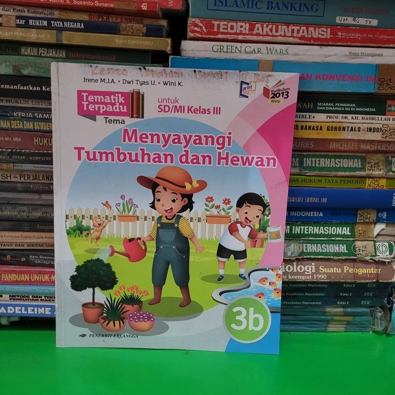 BUKU BEKAS TEMATIK TERPADU KELAS 3B SD ERLANGGA K13 REVISI