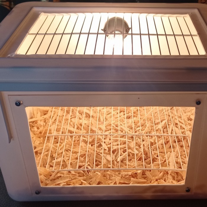 Box Terrarium Lolohan Burung