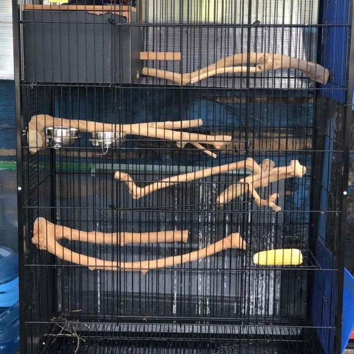 Kayu Kopi Tangkringan