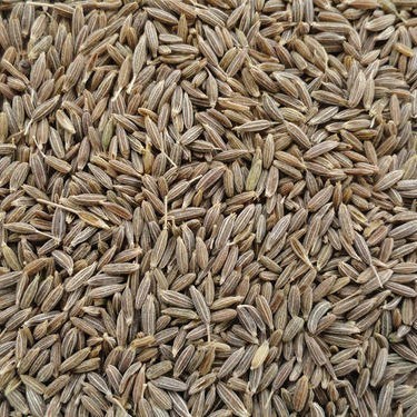

Adlian Cumin Seed 500Gram / Caraway Seed / Biji Jinten 500Gram