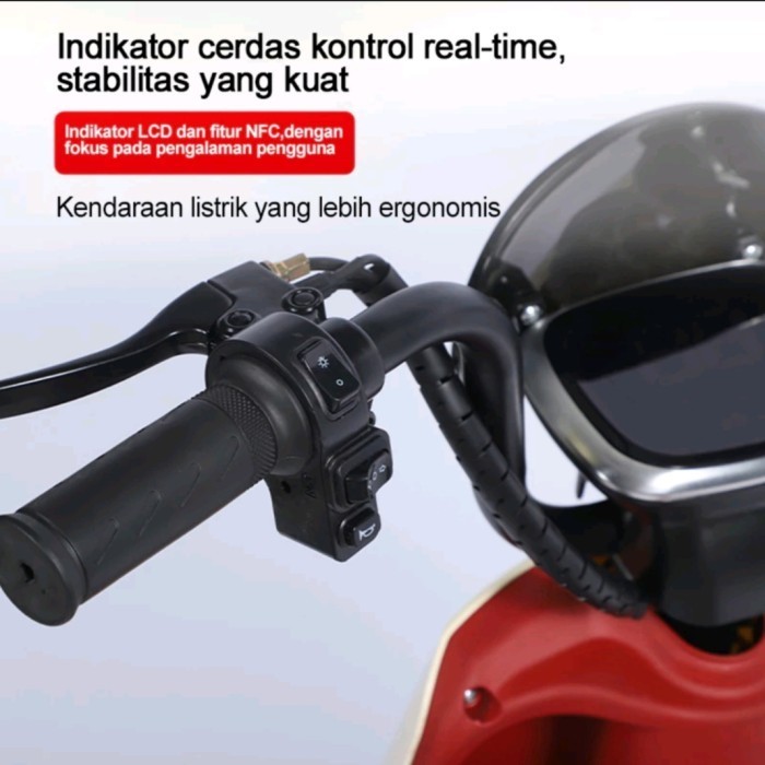 

Sepeda Motor Sepeda Listrik 48V20A