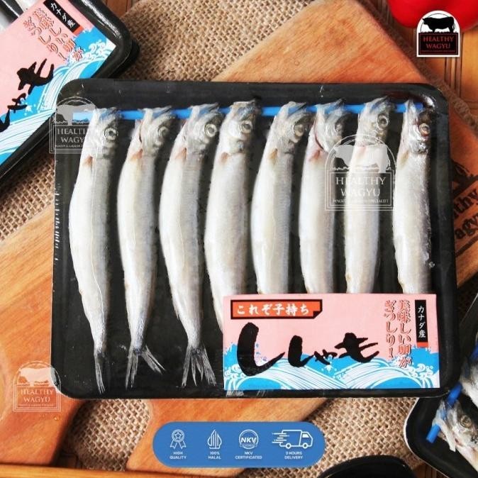 

Ikan Shisamo Full Telur Capelin Fish Premium Quality Import 8 pcs DS10