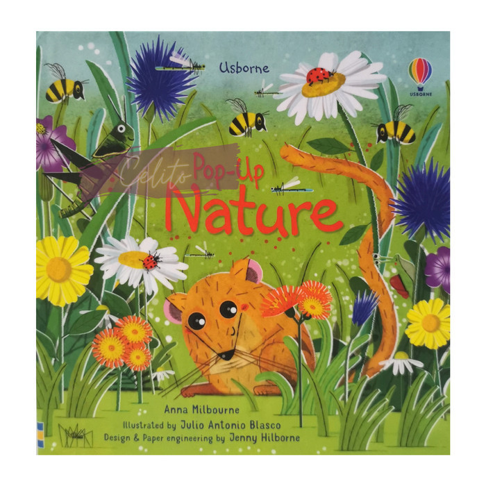 Usborne Pop Up Nature - Usborne Book - Buku Anak