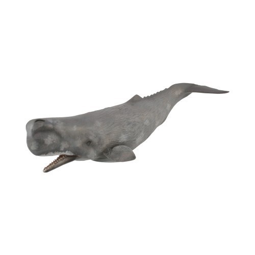 Collecta Mainan Sperm Whale