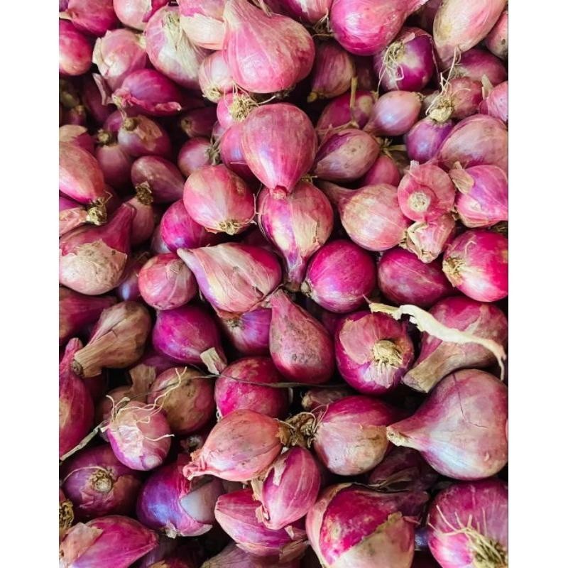 

bawang merah 1 kg asli Nganjuk|bumbu masak|bawang merah murah/berkualitas Super Besar Berkualitas