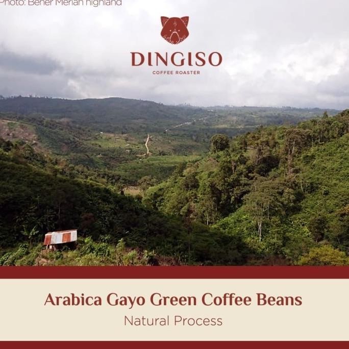 

Arabica Gayo Natural Process Biji Kopi Mentah/ Green Bean 1Kg