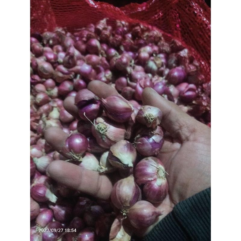 

bawang merah campur tanggung kecil 1kg Super Besar Berkualitas