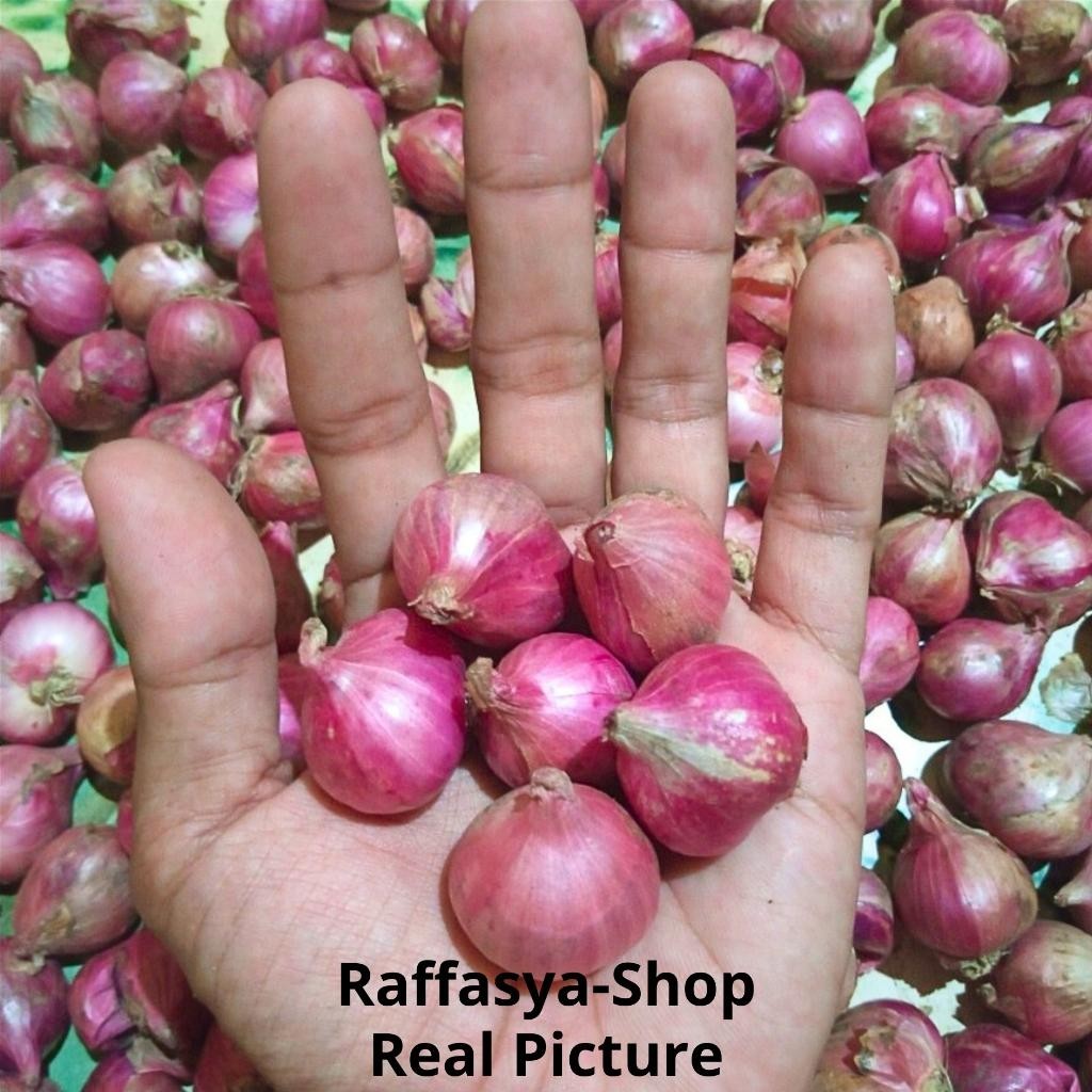 

Bawang Merah Sedang Besar 1 Kg Super Besar Berkualitas