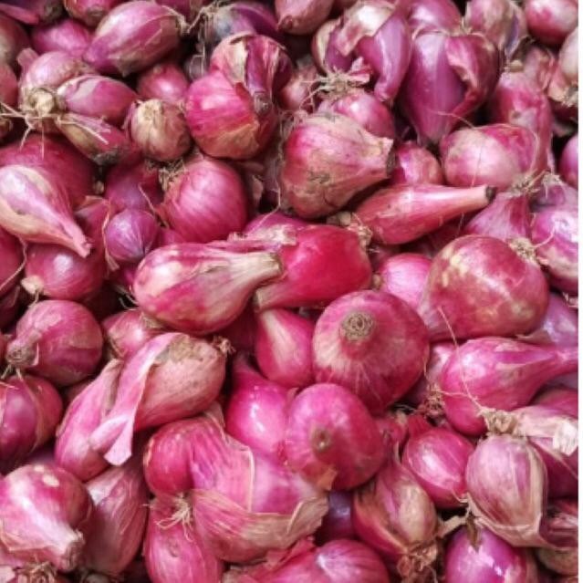 

Bawang Merah Campur Super Besar Berkualitas