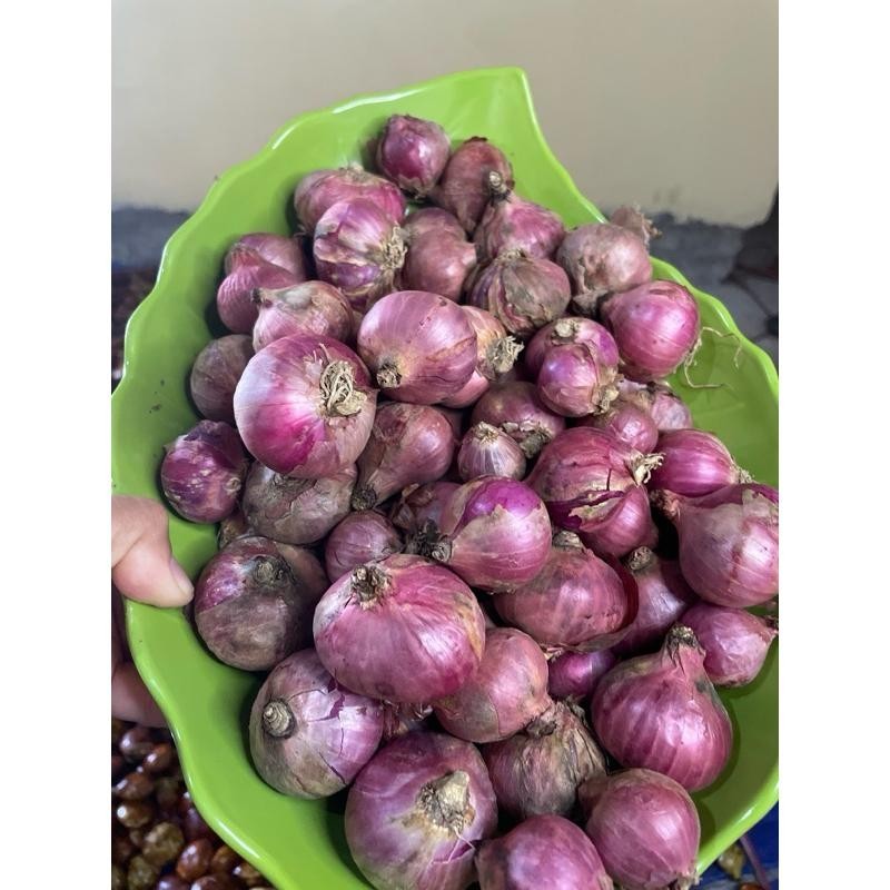 

bawang merah asli boyolali kering 1 kg termurah besar Super Besar Berkualitas