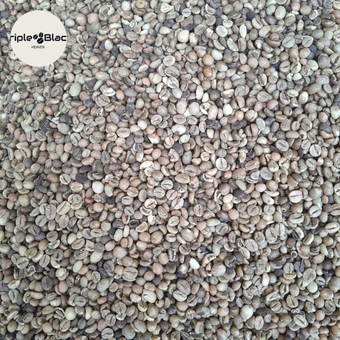 

Ready Kopi Robusta Lampung Green Bean