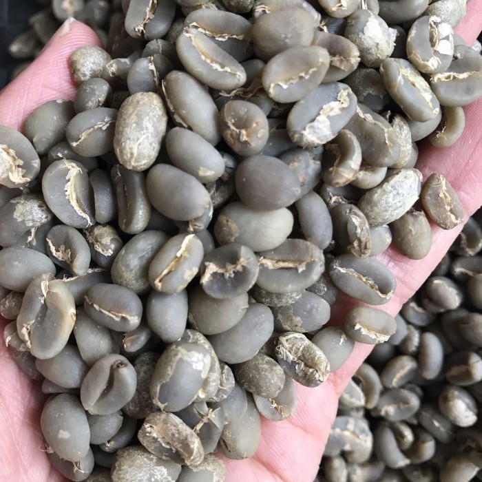 

Ready Green Bean Arabika Mandailing G1