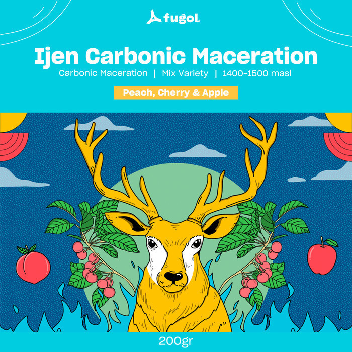 

Ready Biji Kopi Arabika IJEN CARBONIC MACERATION (200 gr) Single Origin